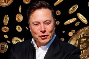 Elon musk bitcoin