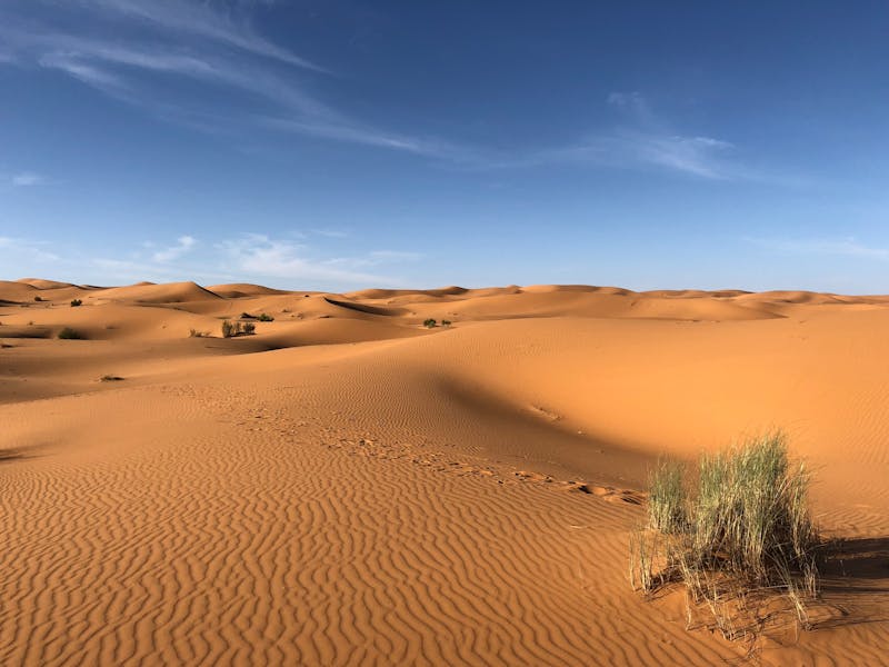 Impresionantes dunas de arena en un desierto representando paisajes extremos del planeta