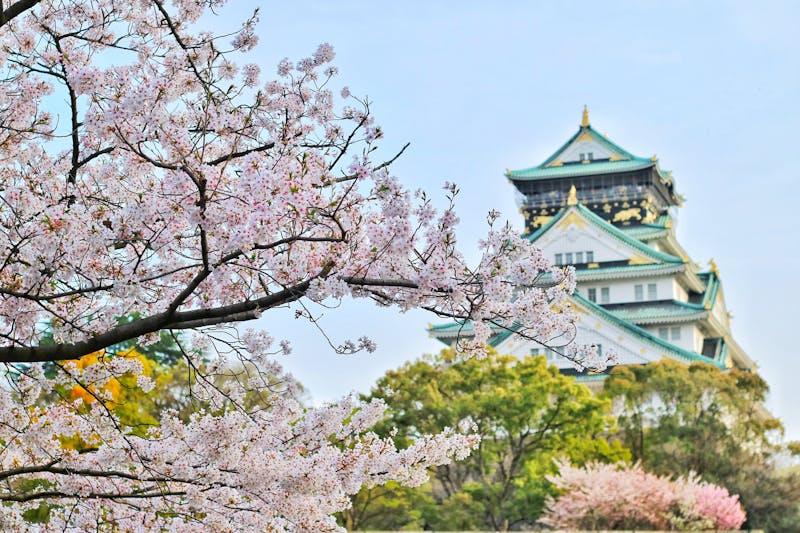 Templo tradicional japonés con pagoda
