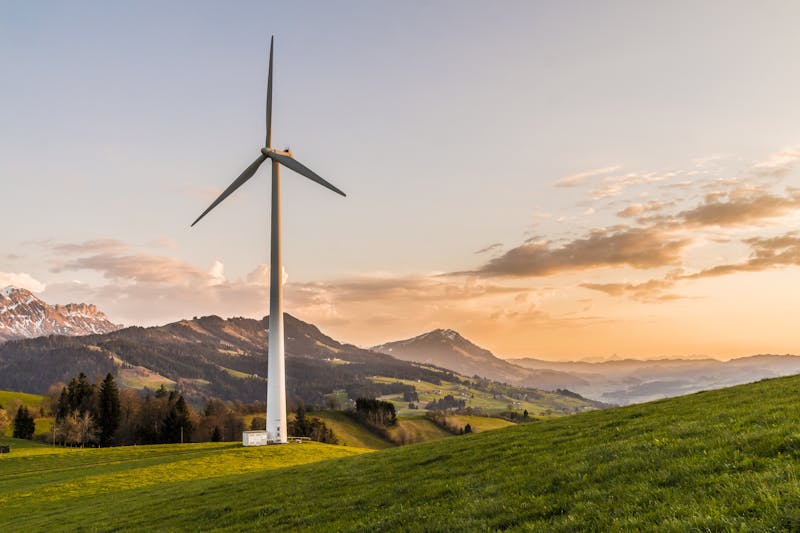 Paneles solares de energía renovable instalados en un campo